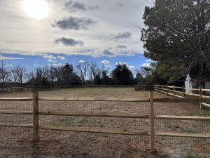 Outdoor Services in Lindenwold, NJ